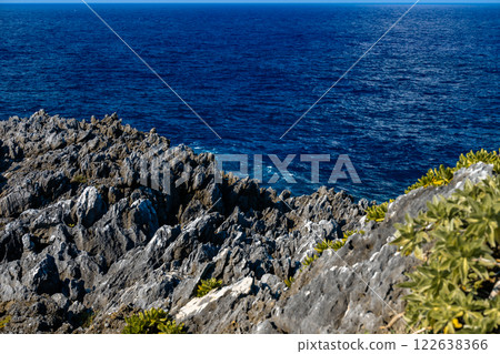 Blooming on the rocks, the blue sea and blue sky of the cliffs 122638366