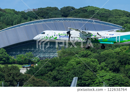 Landing plane 122638764