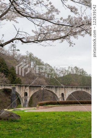Megane Bridge over the spring forest - Miyamorigawa Bridge, Tono City 122639142