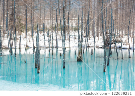 Spring blue pond with snow, Biei Town 122639251