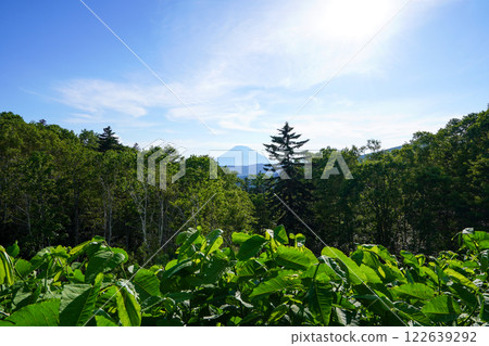 從中山嶺的茶室眺望羊蹄山 從中山嶺的茶室眺望羊蹄山 122639292