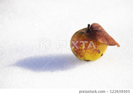 Ripe apple over a snow background 122639303