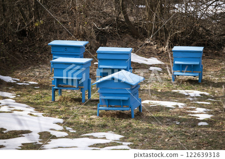 Blue beehives in a winter garden Blue beehives in a winter garden 122639318