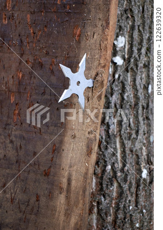 Close-up view of shurikens and knifes driven into a plank - selective focus 122639320