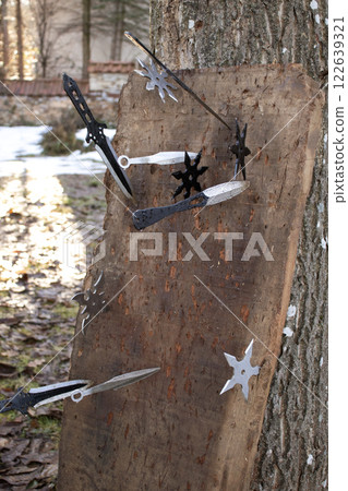 Close-up view of shurikens and knifes driven into a plank - selective focus 122639321