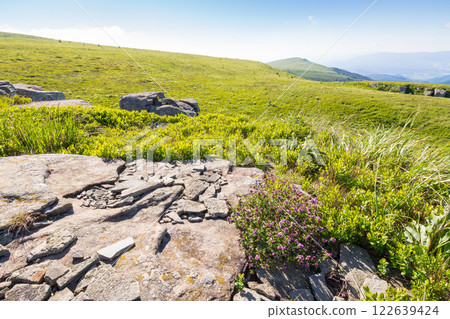 landscape with sandstone rocks on the grassy meadow. sunny day. alpine scenery of ukraine in summer. smooth mountain in morning light. blue sky landscape with sandstone rocks on the grassy meadow. sunny day. alpine scenery of ukraine in summer. smooth mountain in morning light. blue sky 122639424