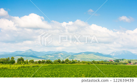 beautiful countryside of romania. sunny day. wonderful summer landscape in mountains. green field and rolling hills. rural scenery 122639439