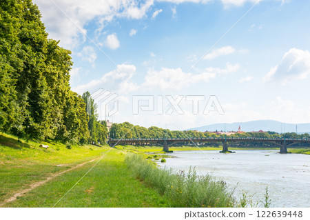 embankment with linden trees in blossom. summer vacation. scenery by the river uzh on a sunny day. masaryk bridge in the distance 122639448