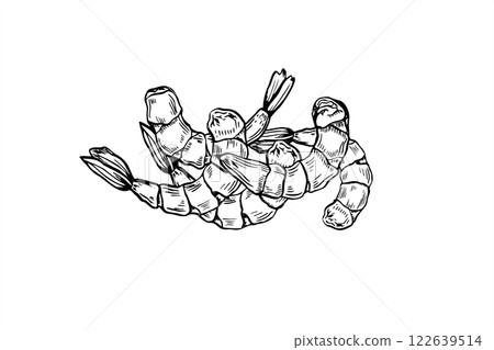 Peeled boiled prawn heap vector food illustration painted by black inks. Cooked unshelled tiger shrimps pile realistic graphic sketch. Seafood cooking ingredient etching drawing for menu, recipe. Peeled boiled prawn heap vector food illustration painted by black inks. Cooked unshelled tiger shrimps pile realistic graphic sketch. Seafood cooking ingredient etching drawing for menu, recipe. 122639514