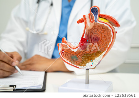 Stomach disease, doctor with human anatomy model for study diagnosis and treatment in hospital. 122639561