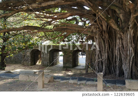 曹源寺 Gajumaru 122639605