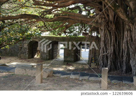 曹源寺 Gajumaru 122639606