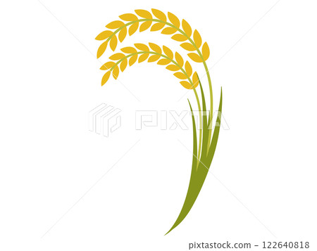 Illustration of rice 122640818