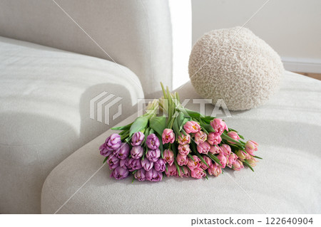 Bunch of pink and purple tulips on a beige fabric couch with a white fluffy pillow. Bunch of pink and purple tulips on a beige fabric couch with a white fluffy pillow. 122640904