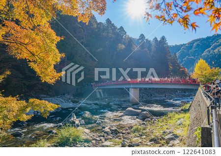 Autumn foliage at Korankei in Toyota City and the view of Taizuki Bridge (Aichi Prefecture) 122641083