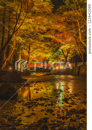 森町（靜岡縣）富富國一宮大國神社的紅葉彩燈映照下的橋景 122641099