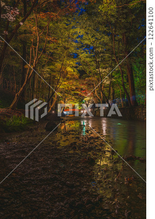 A bridge at Oguni Shrine, Ichinomiya, Totomi Province, in Morimachi, illuminated by the autumn leaves (Shizuoka Prefecture) 122641100