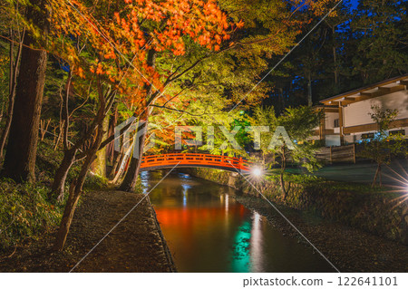 A bridge at Oguni Shrine, Ichinomiya, Totomi Province, in Morimachi, illuminated by the autumn leaves (Shizuoka Prefecture) 122641101