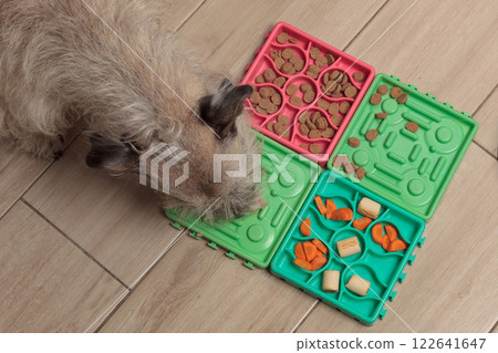 Dog Eating Treats from Puzzle Feeding Mat Dog Eating Treats from Puzzle Feeding Mat 122641647