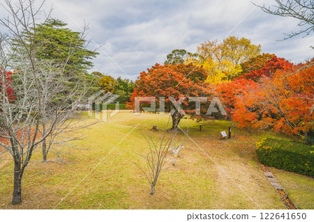 Autumn foliage in the evening at Tobayama Park in Hamamatsu City (Shizuoka Prefecture) 122641650