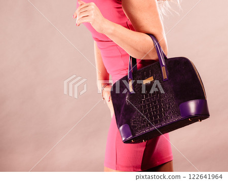 Elegant mid aged woman in dress with bag. Elegant mid aged woman in dress with bag. 122641964