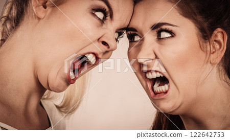 Two agressive women having argue fight Two agressive women having argue fight 122642753