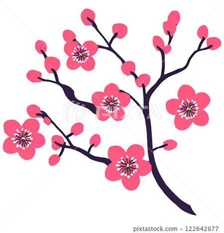 簡單的梅花圖 122642877