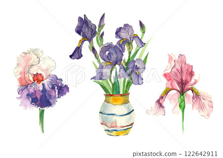 A set of watercolor illustrations. Irises of different colors of pink and purple, irises in a vase. All objects are hand-drawn with watercolors. For printing on fabric, postcards, invitations. A set of watercolor illustrations. Irises of different colors of pink and purple, irises in a vase. All objects are hand-drawn with watercolors. For printing on fabric, postcards, invitations. 122642911