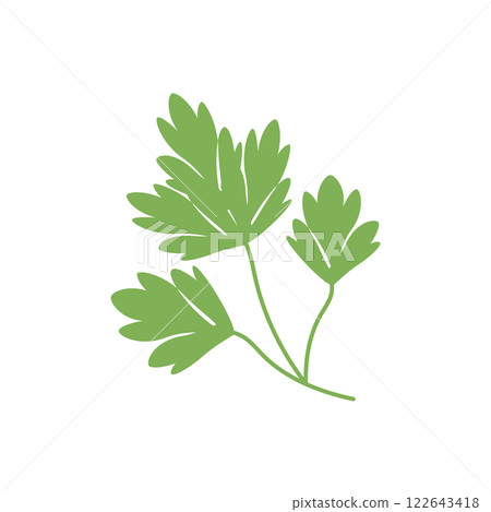 Parsley sprig, greens, food Parsley sprig, greens, food 122643418