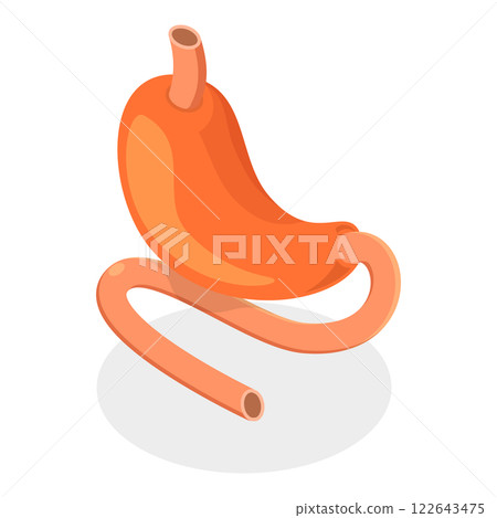 3D Isometric Flat Illustration of Digestive System Anatomy. Item 2 3D Isometric Flat Illustration of Digestive System Anatomy. Item 2 122643475