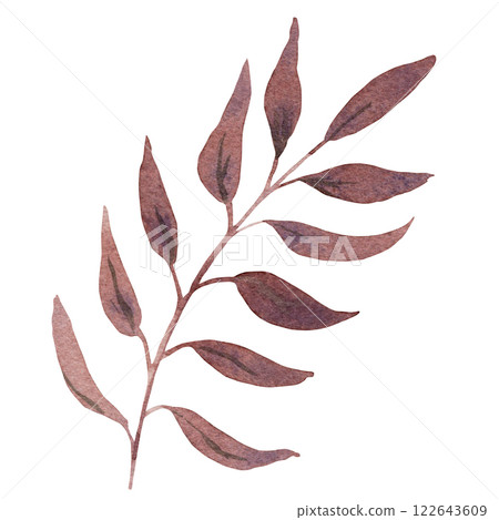 Watercolor cute brown fantasy leaf isolated on white background Watercolor cute brown fantasy leaf isolated on white background 122643609