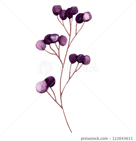 Watercolor cute purple fantasy brunch with berry isolated on white background Watercolor cute purple fantasy brunch with berry isolated on white background 122643611