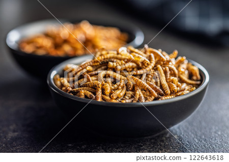 Dried salted worms. Roasted mealworms in bowl on black table. 122643618