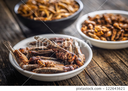 Dried salted insect. Roasted grasshoppers in bowl on wooden table. 122643621