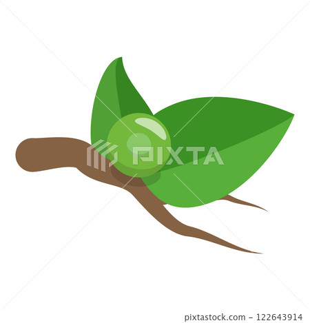3D Isometric Flat Illustration of Butterfly Metamorphosis. Item 7 3D Isometric Flat Illustration of Butterfly Metamorphosis. Item 7 122643914