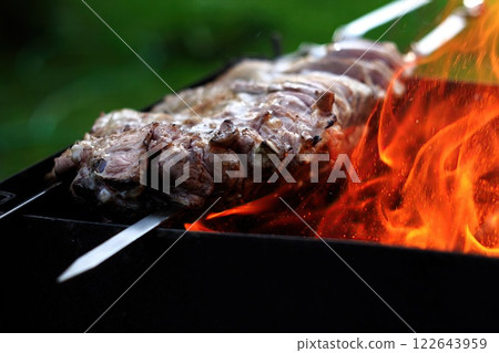 Juicy cuts of meat are sizzling on skewers over a vibrant flame, creating a lively atmosphere at a summer cookout. Friends gather around, enjoying the delicious aroma and warm weather. Juicy cuts of meat are sizzling on skewers over a vibrant flame, creating a lively atmosphere at a summer cookout. Friends gather around, enjoying the delicious aroma and warm weather. 122643959