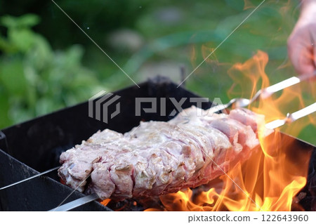 Juicy pieces of meat sizzle on skewers, cooking over bright flames in a grill. Lush greenery surrounds the outdoor cooking area, adding summer vibes to the gathering. 122643960