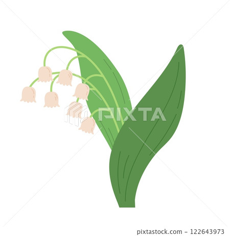 Lily of the valley flowers spring vector illustration 122643973