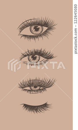 Eyes and eyelash collection brown 122645080
