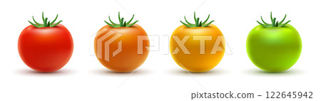 Tomatoes green fresh vegetables. Yellow red food tomatoes nutrition organic growth natural produce. 122645942