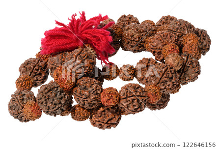 Rudraksha beads, a traditional accessory for meditation and spiritual practices made of natural seeds strung on a thread, with a red tassel at the end. Rudraksha beads, a traditional accessory for meditation and spiritual practices made of natural seeds strung on a thread, with a red tassel at the end. 122646156