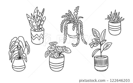 Hand drawn doodle collection of potted houseplants in black and white, featuring various leaf shapes and decorative pots, perfect for coloring or botanical-themed projects Hand drawn doodle collection of potted houseplants in black and white, featuring various leaf shapes and decorative pots, perfect for coloring or botanical-themed projects 122646203