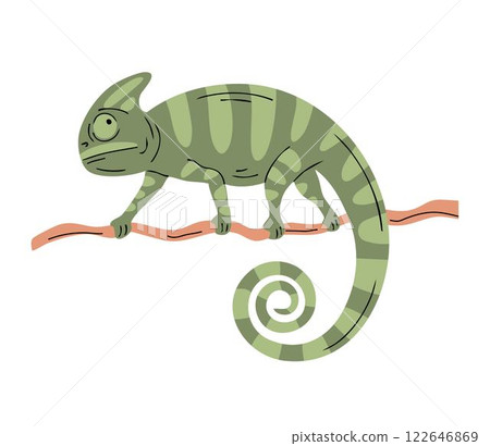 Green chameleon on a branch 122646869