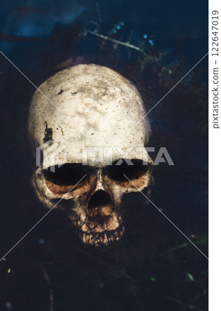 Skull underwater. A terrible discovery in the swamp. Human skull. Buried human remains.Drowned 122647019