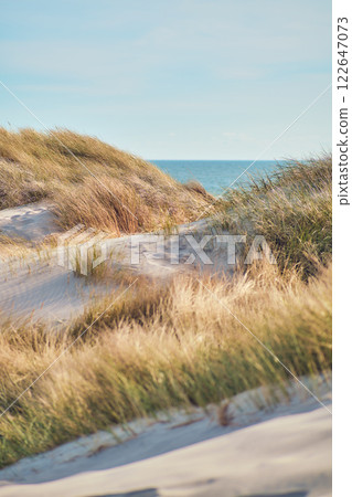Dunes at danish North sea coast in summer sunlight 122647073