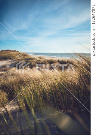 Dunes at the north sea coast at best summer weather 122647075