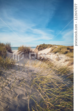 Dunes at the north sea coast in warm sunshine 122647077