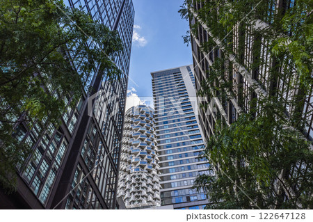 Modern Skyscrapers and Urban Trees. Stunning Architecture and Cityscape View 122647128