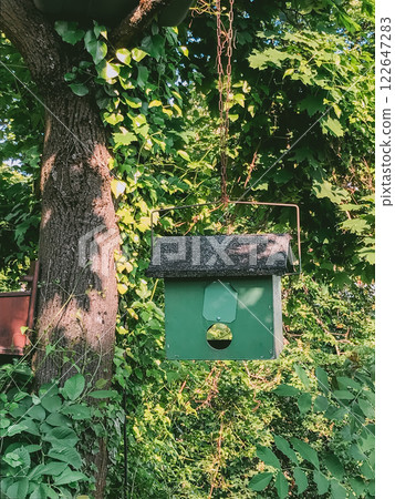 Birdhouse is hanging from a tree Birdhouse is hanging from a tree 122647283