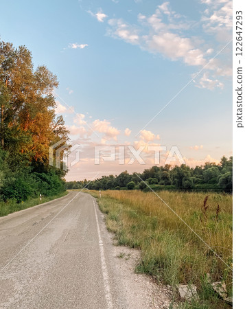Road with a few trees in the background and a clear blue sky Road with a few trees in the background and a clear blue sky 122647293